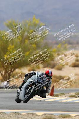 media/Apr-10-2022-SoCal Trackdays (Sun) [[f104b12566]]/Turn 5 Tree of Life (1040am)/